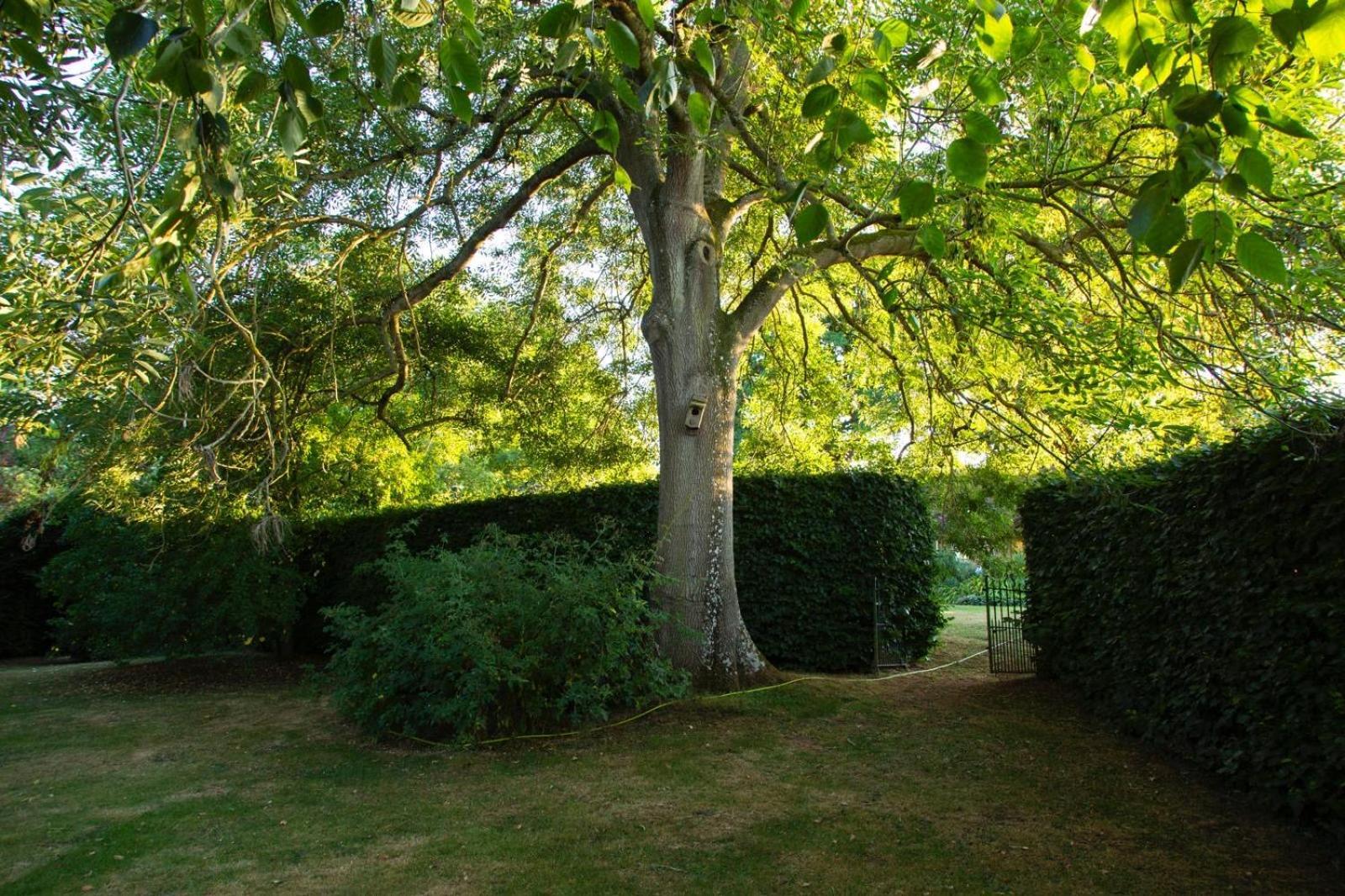 Ebony Cottage Tenbury Exteriér fotografie