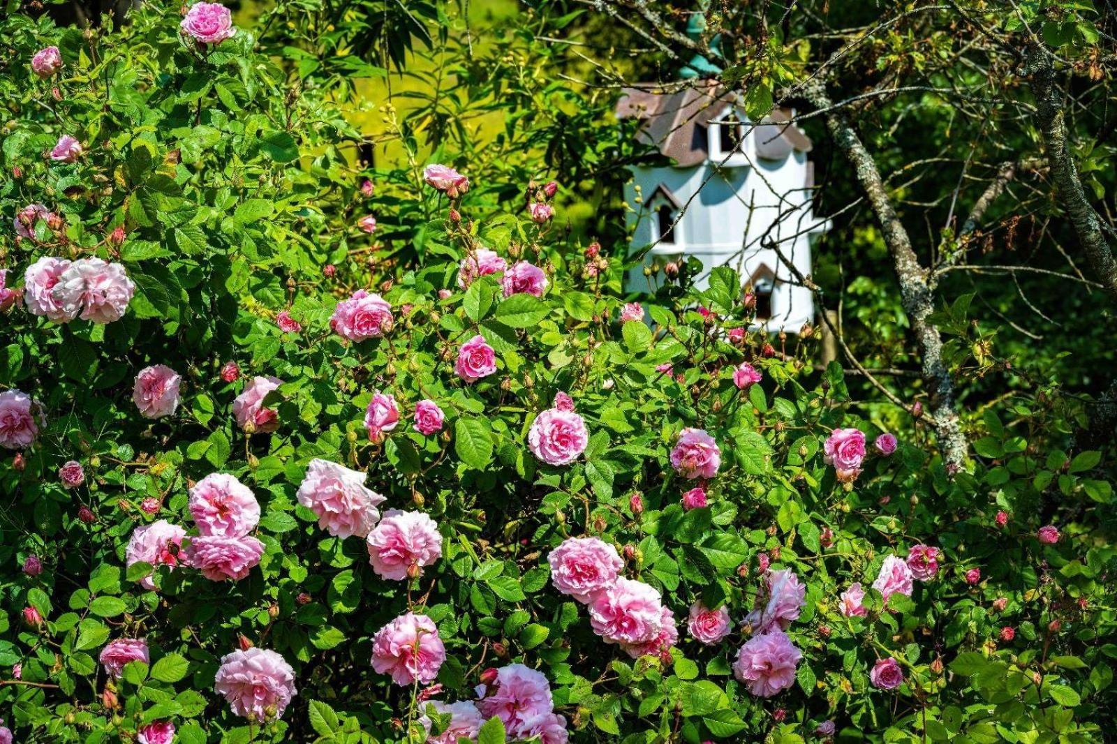 Ebony Cottage Tenbury Exteriér fotografie